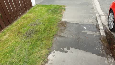 Water Supply, a report photo