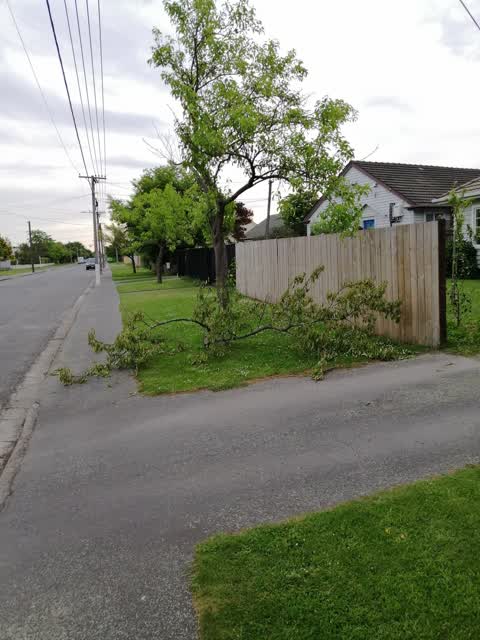 Roading/Streets, a report photo