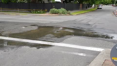 Water Supply, a report photo