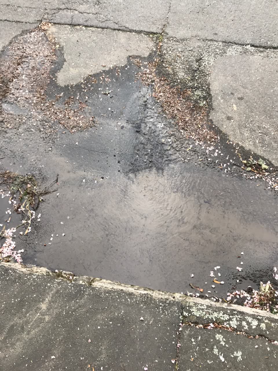 The photograph attached to this water supply report