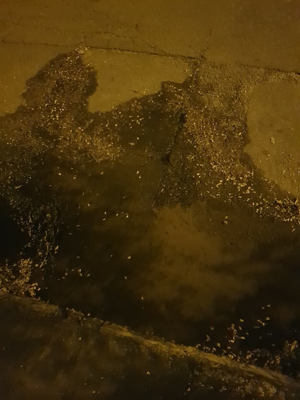 The photograph attached to this water supply report