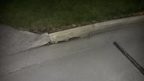Roading/Streets, a report photo