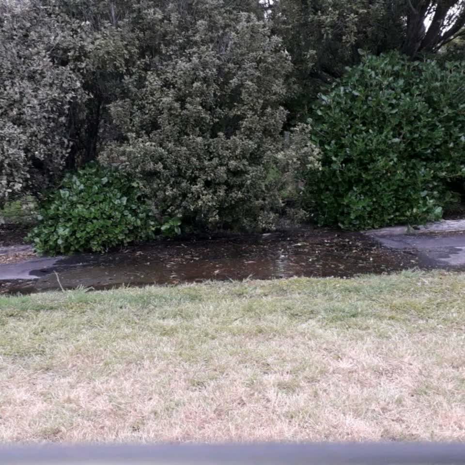 The photograph attached to this water supply report