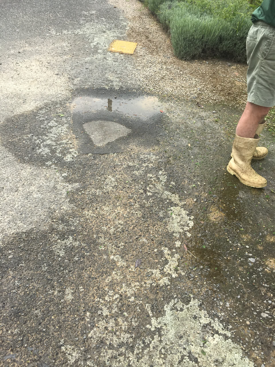 The photograph attached to this water supply report