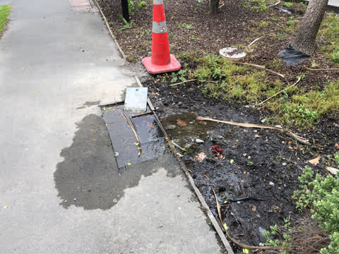 Water Supply, a report photo