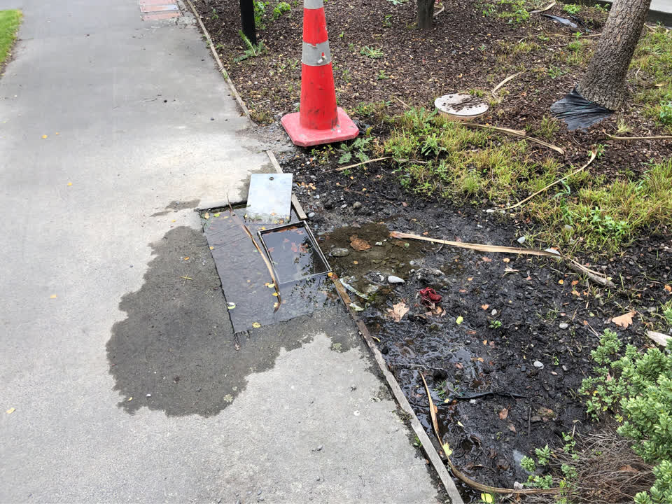 The photograph attached to this water supply report