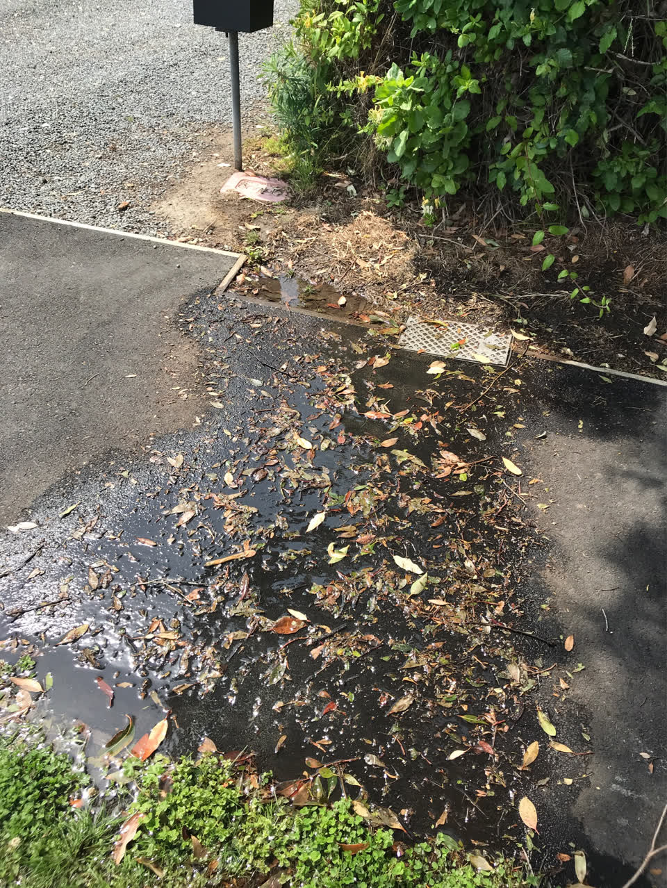The photograph attached to this water supply report