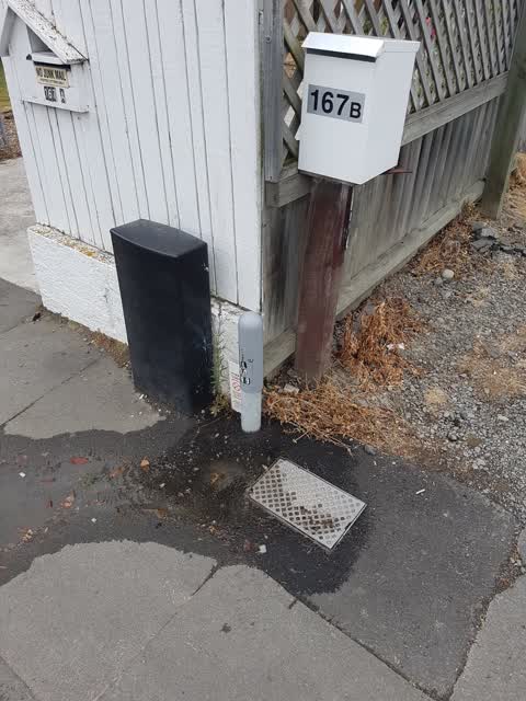 Water Supply, a report photo