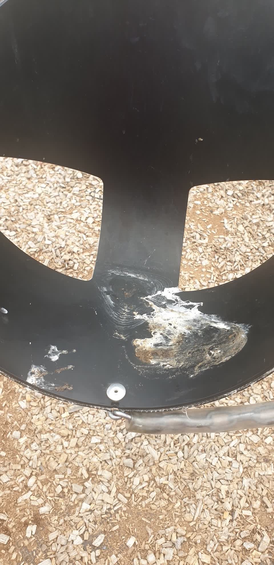 The photograph attached to this parks report
