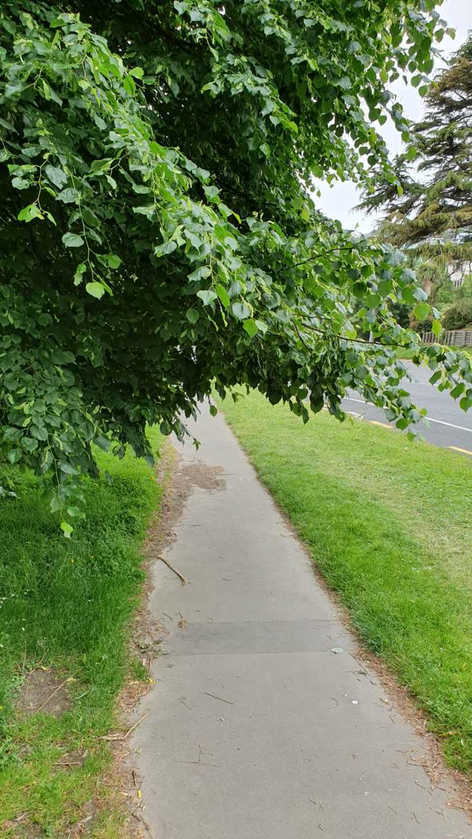 The photograph attached to this parks report