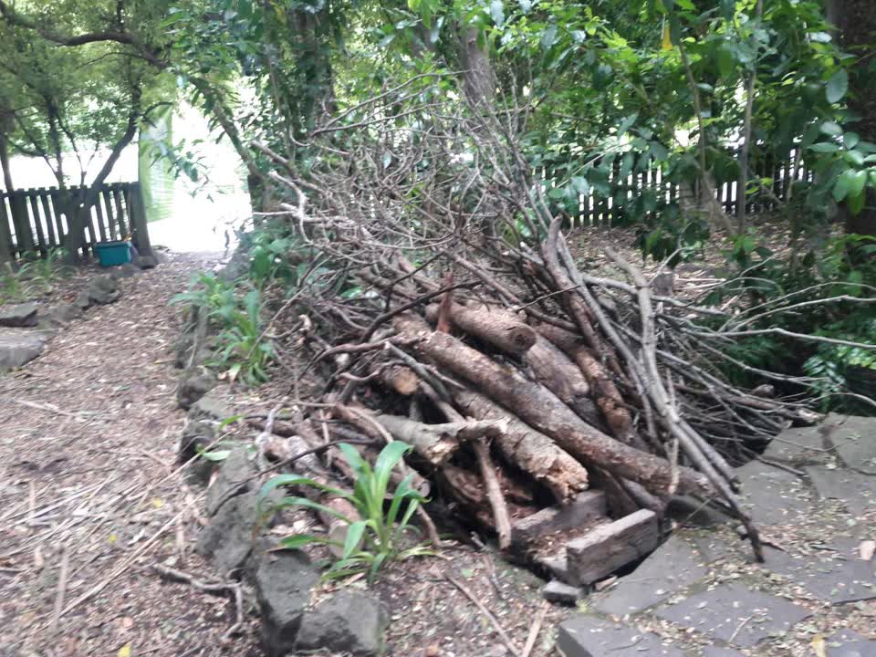 The photograph attached to this parks report