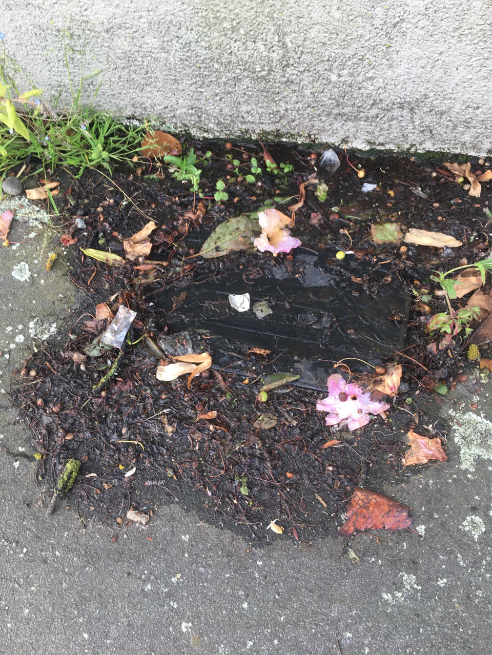 The photograph attached to this water supply report