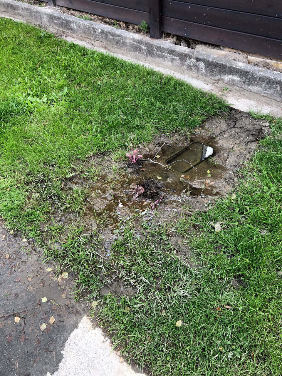 The photograph attached to this water supply report