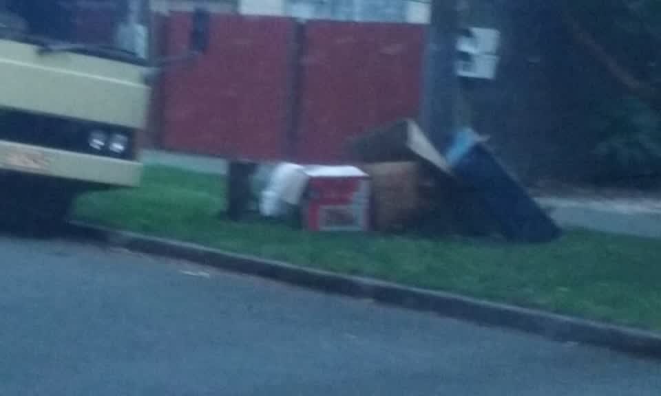 The photograph attached to this rubbish/recycling report