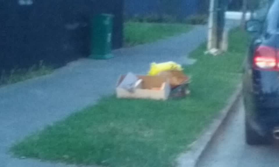 The photograph attached to this rubbish/recycling report