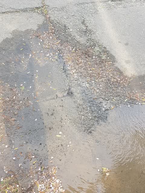 Water Supply, a report photo