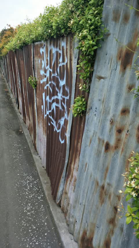 Graffiti, a report photo