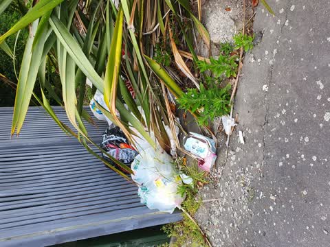 Rubbish/Recycling, a report photo