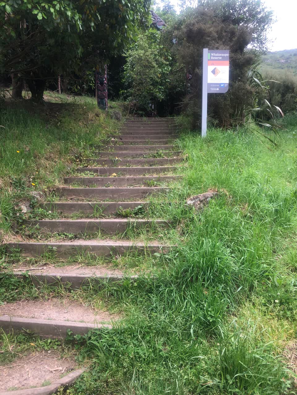 The photograph attached to this parks report