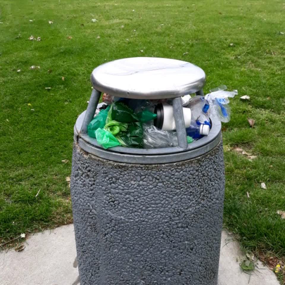 The photograph attached to this parks report