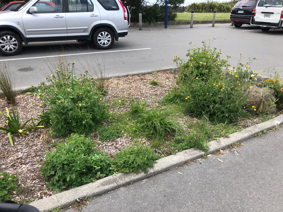 The photograph attached to this parks report