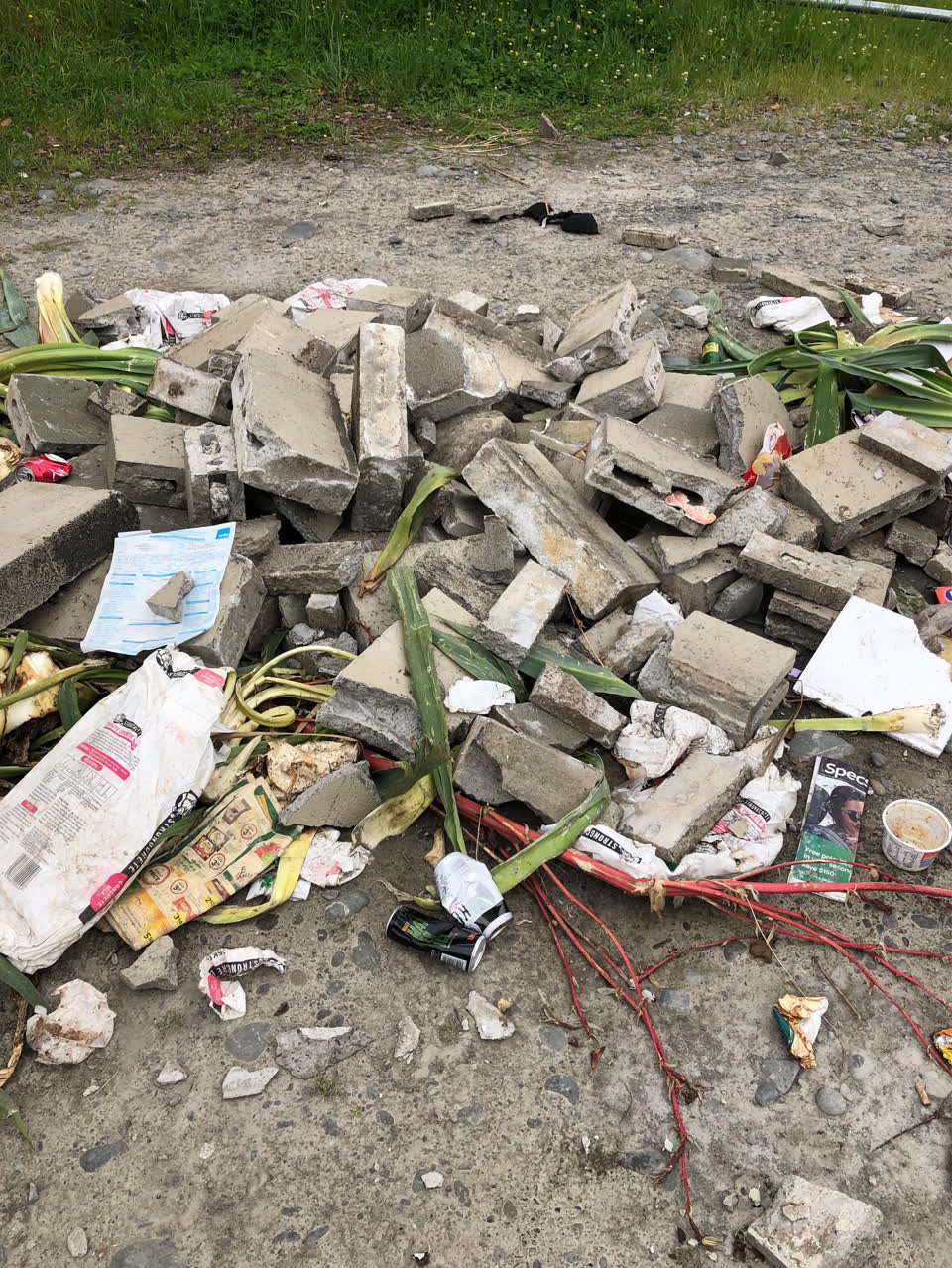 The photograph attached to this parks report
