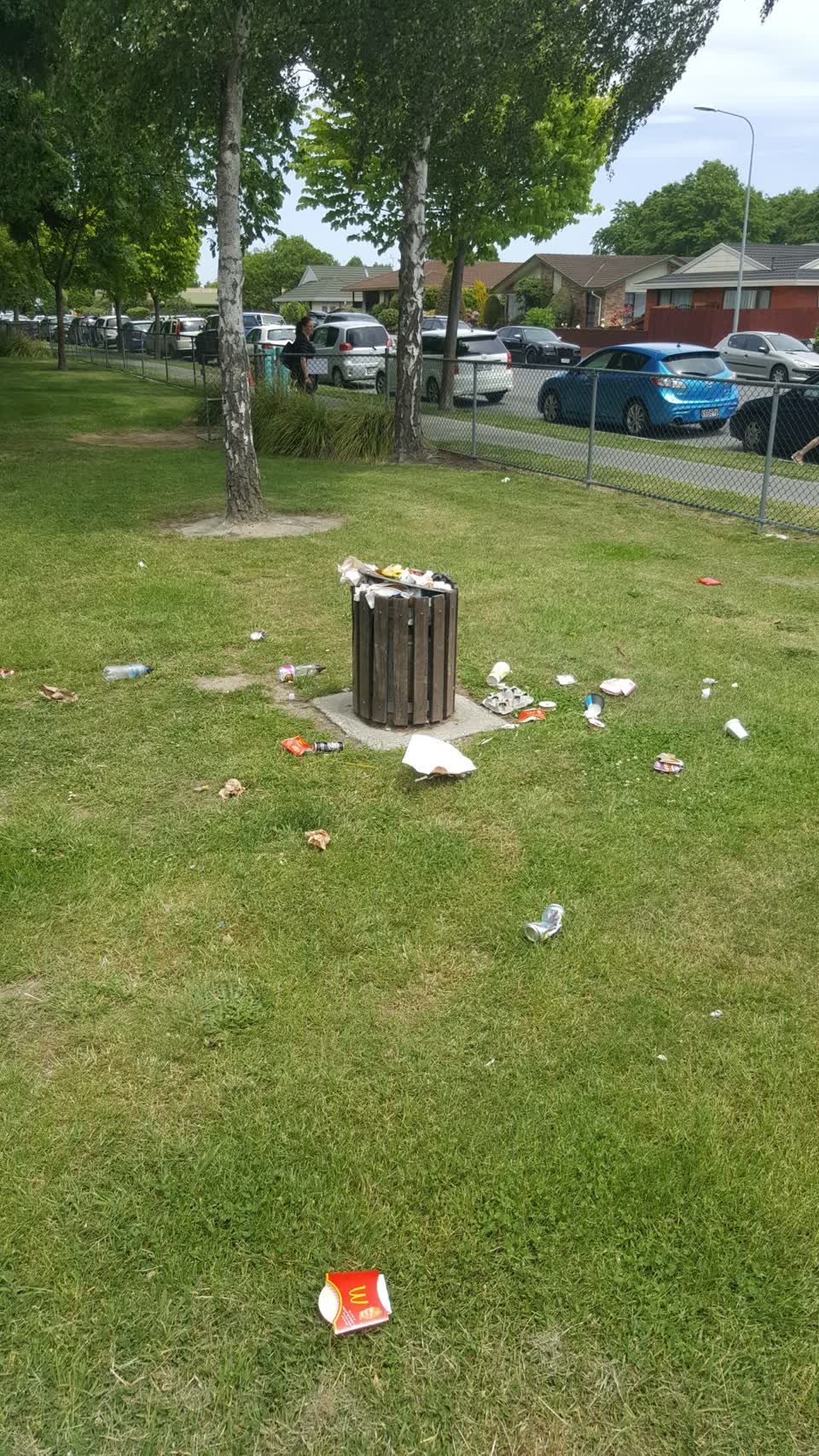 The photograph attached to this rubbish/recycling report