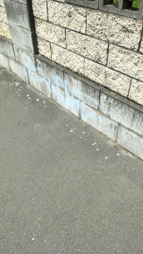 Graffiti, a report photo