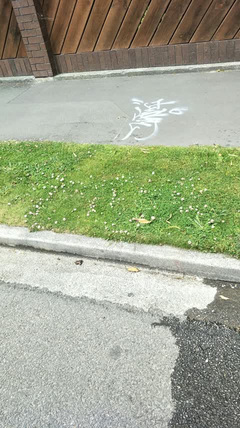 Graffiti, a report photo