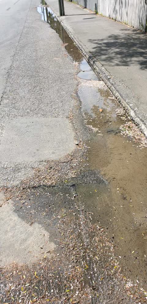 Water Supply, a report photo