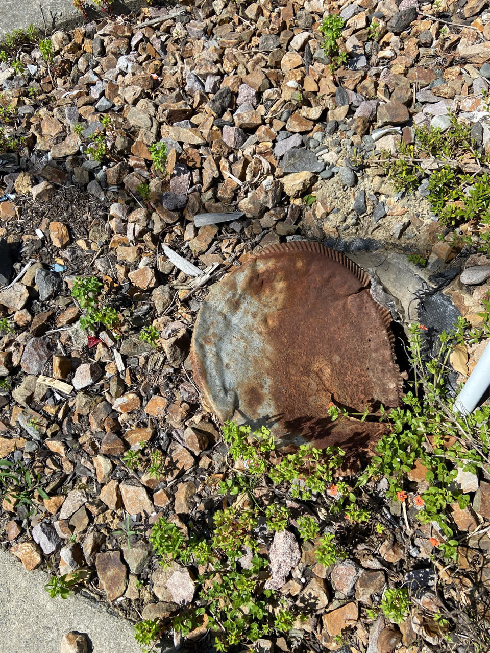 The photograph attached to this roading/streets report