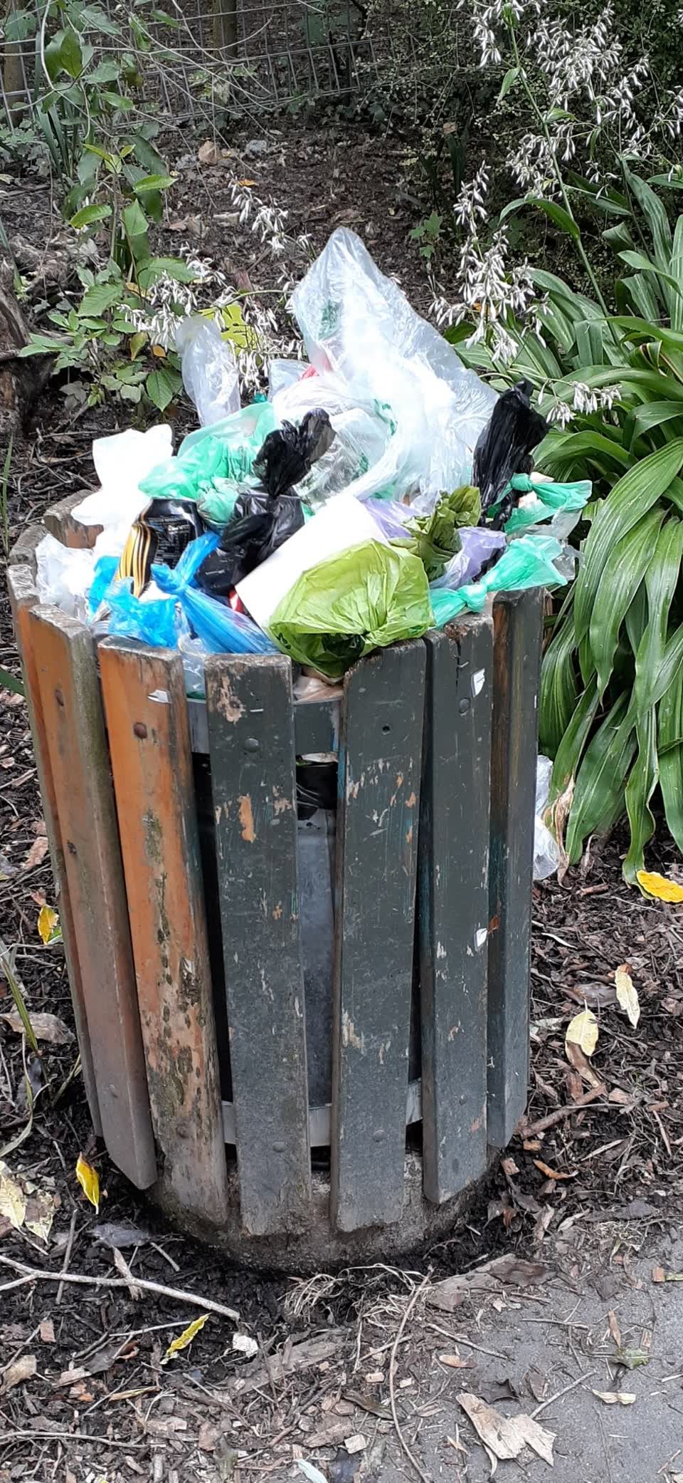 The photograph attached to this rubbish/recycling report