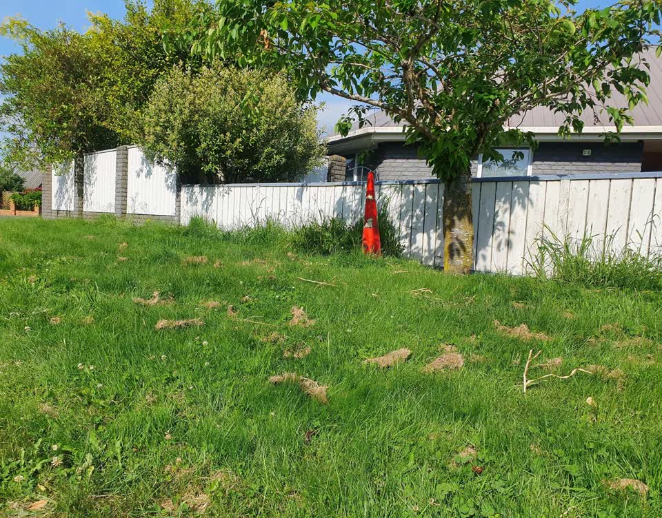 The photograph attached to this parks report