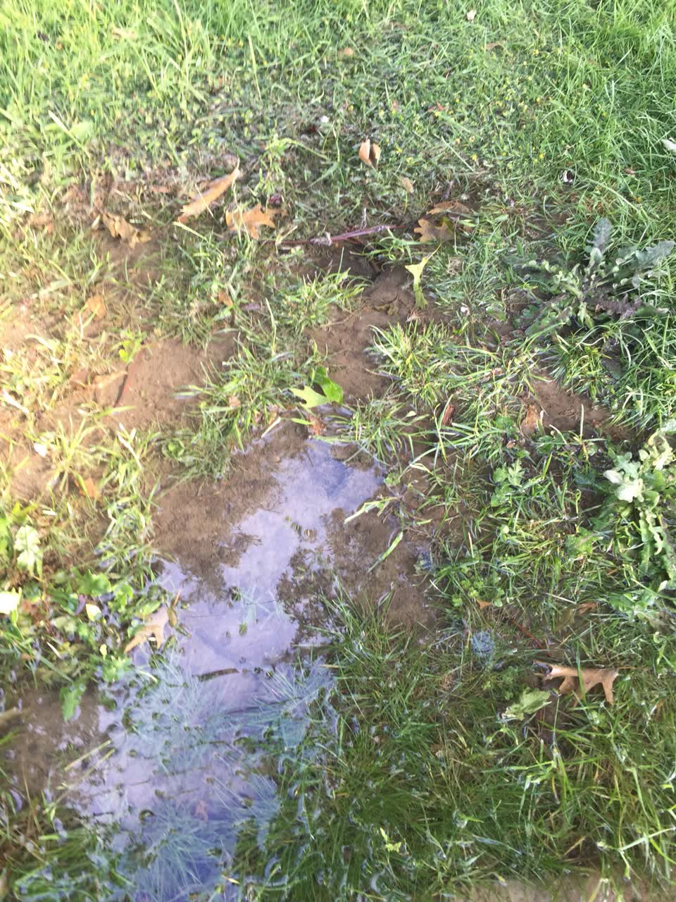 The photograph attached to this water supply report