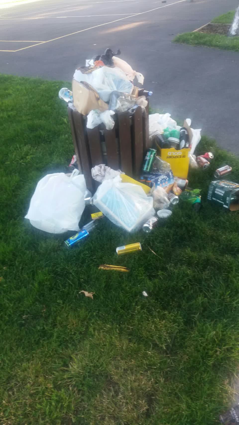 The photograph attached to this rubbish/recycling report