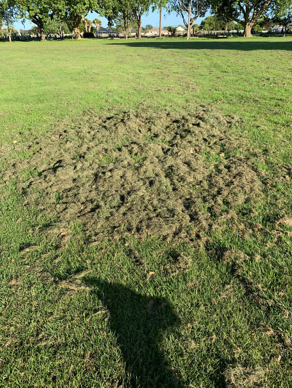 The photograph attached to this parks report