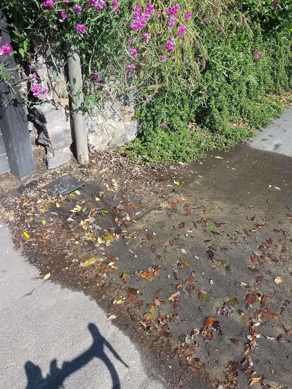 The photograph attached to this water supply report