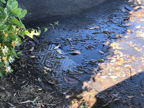 Water Supply, a report photo