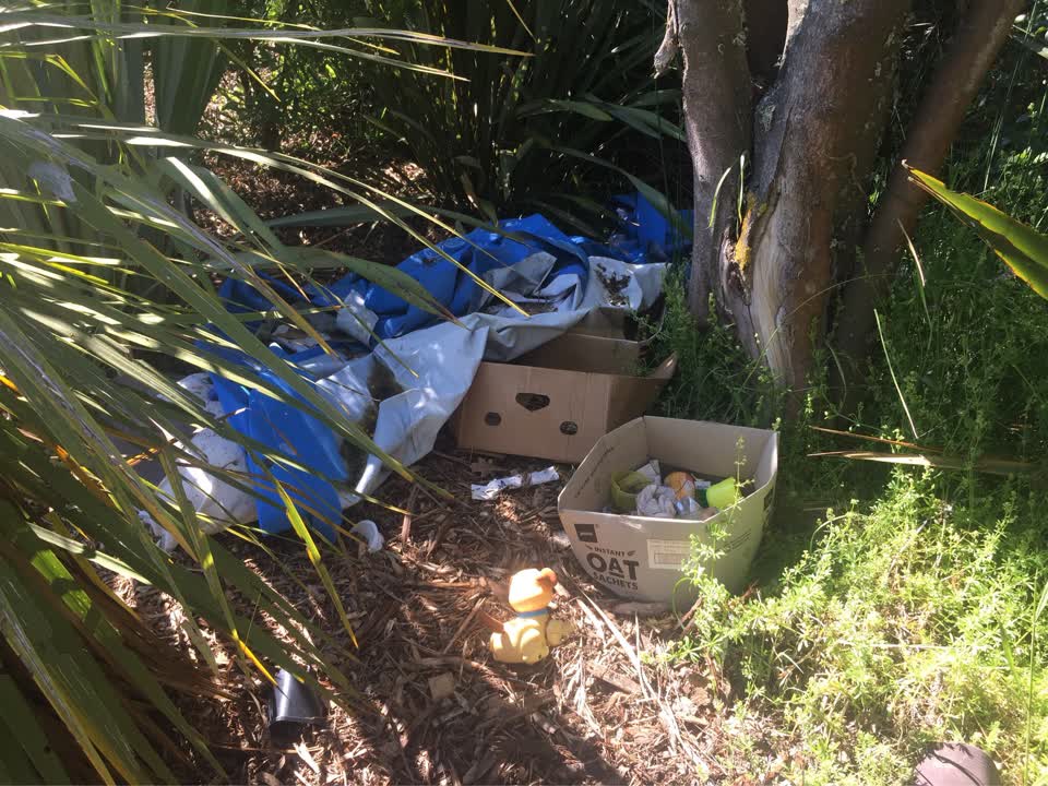The photograph attached to this parks report