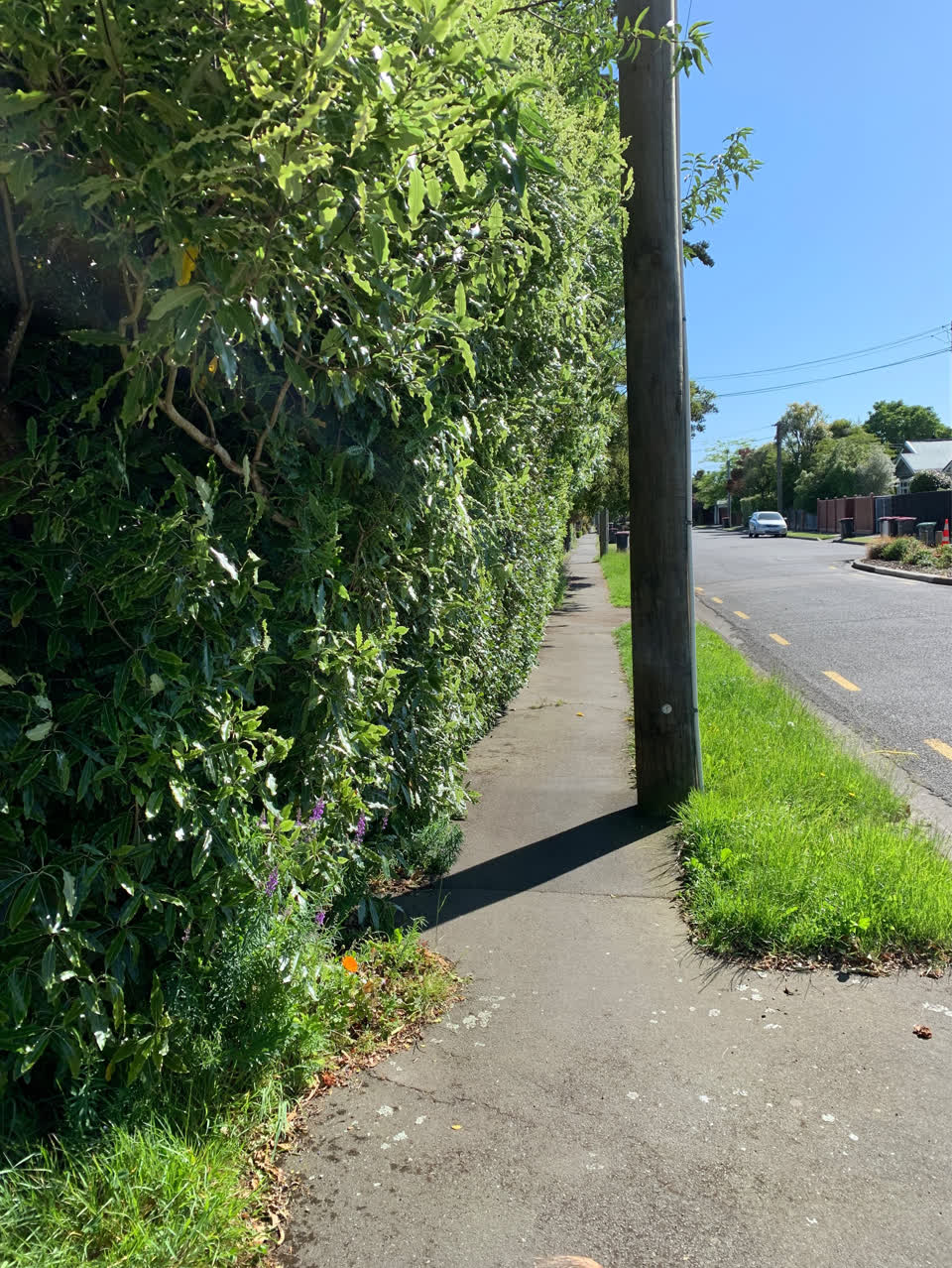 The photograph attached to this roading/streets report