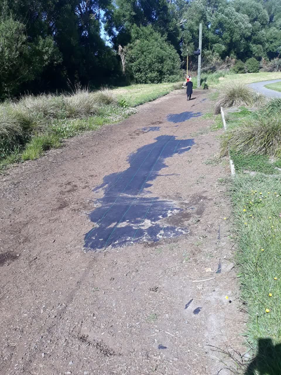 The photograph attached to this parks report