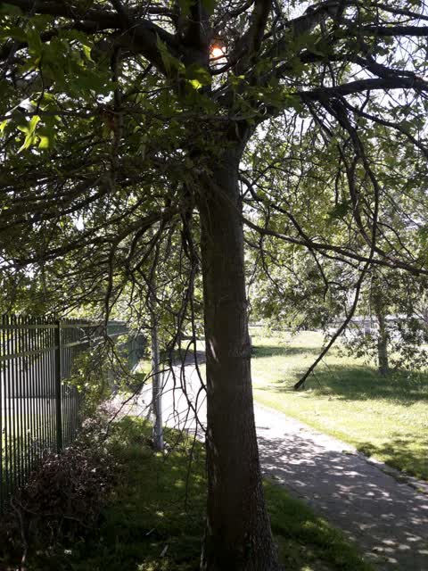 Parks, a report photo
