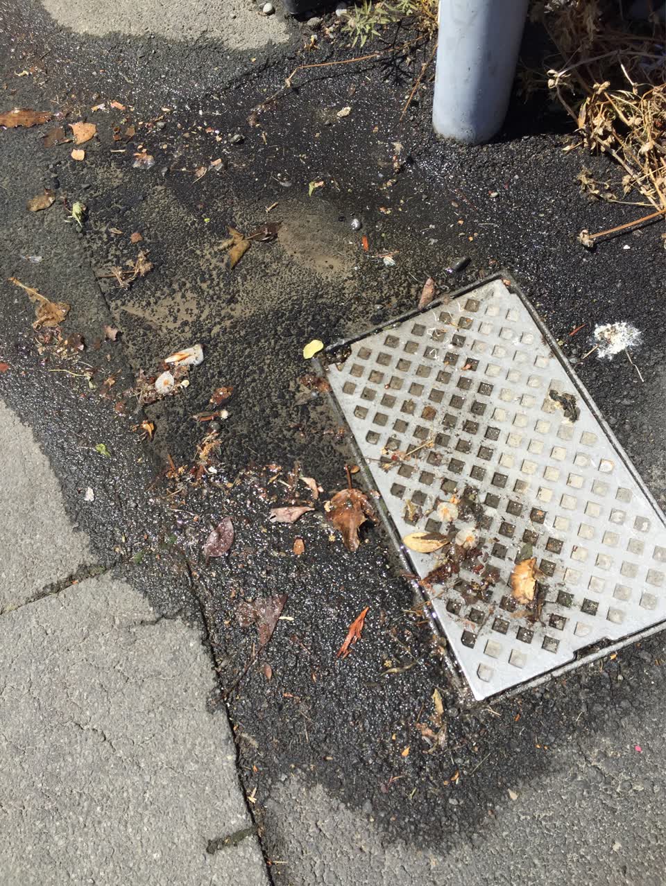 The photograph attached to this water supply report