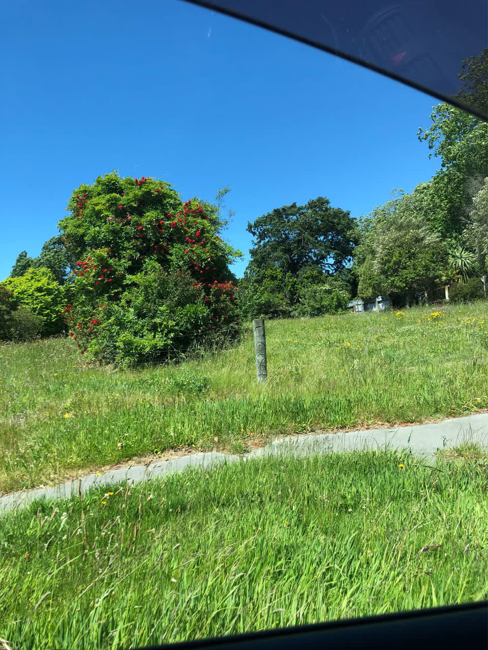 The photograph attached to this parks report