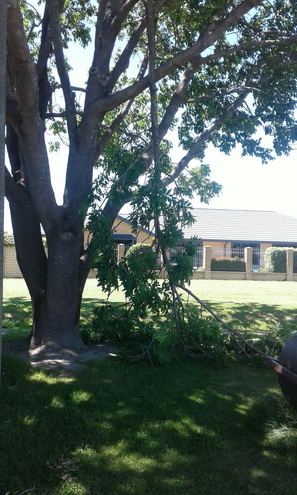 The photograph attached to this parks report