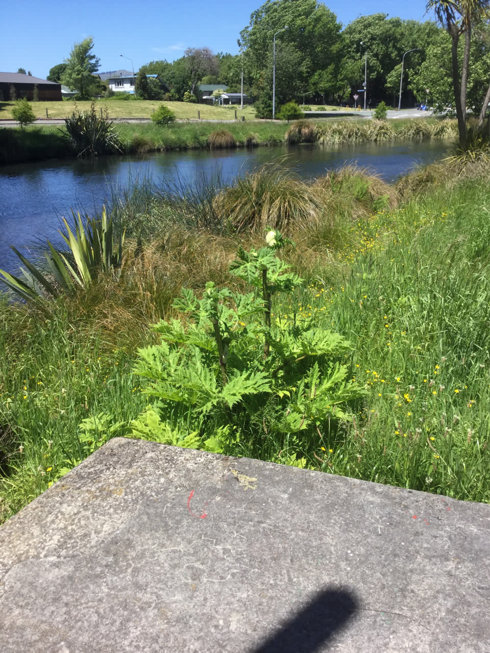 The photograph attached to this parks report