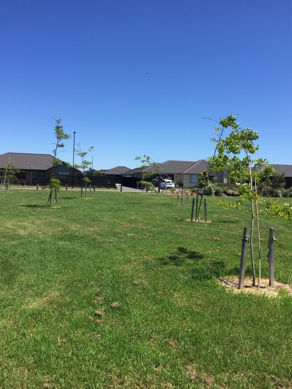 The photograph attached to this parks report