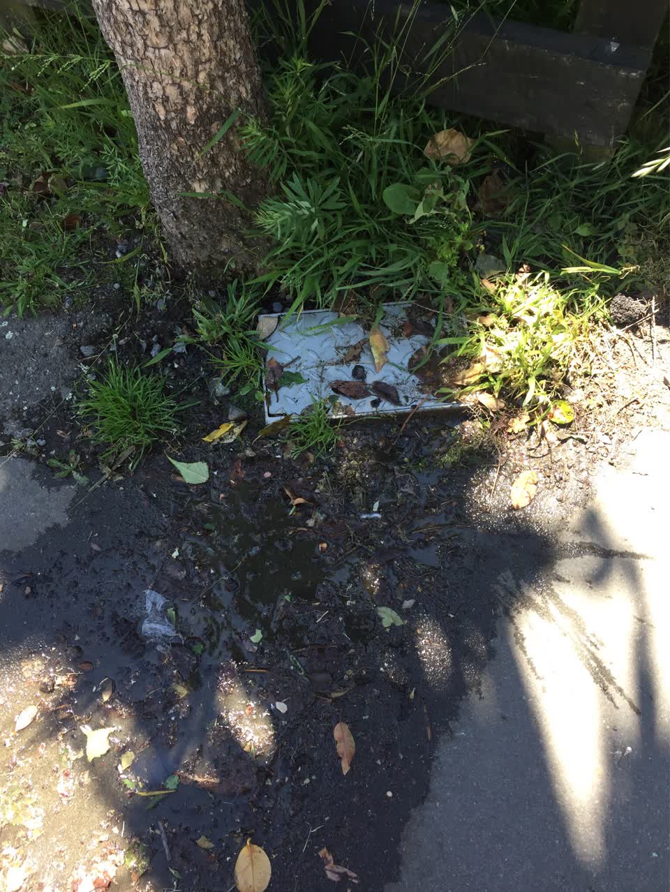 The photograph attached to this water supply report