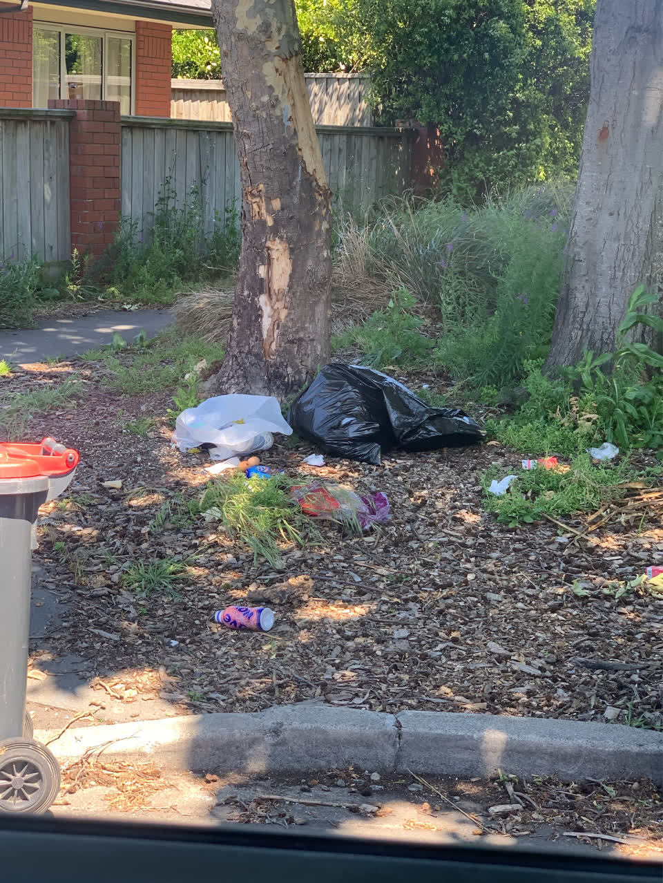 The photograph attached to this rubbish/recycling report