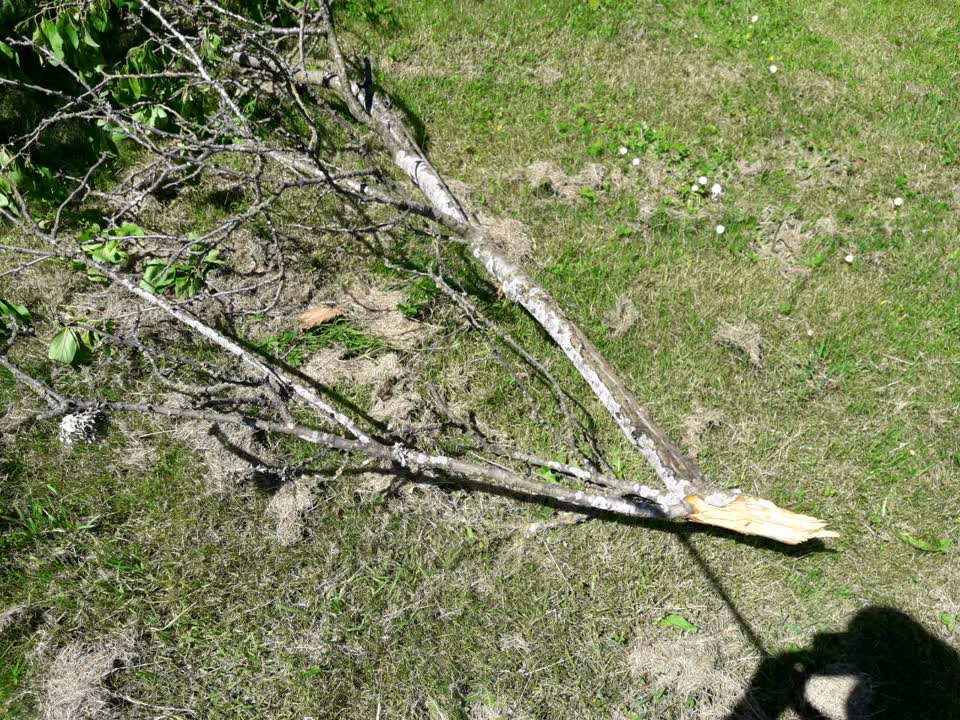 The photograph attached to this parks report